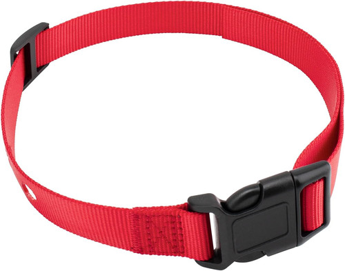 Dog replacement collar strap - dog,