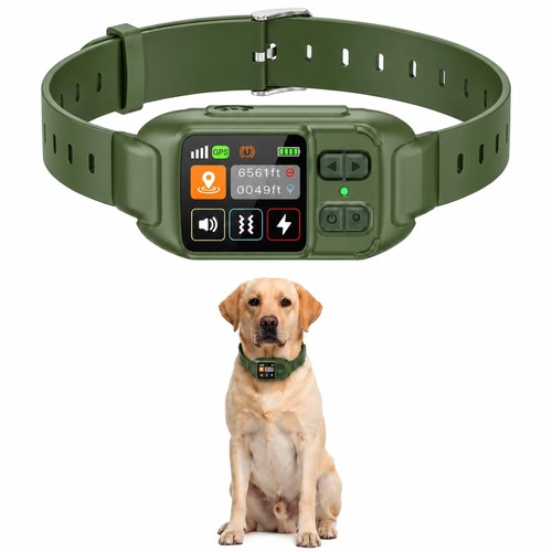 Rpz gps dog - dog, collar