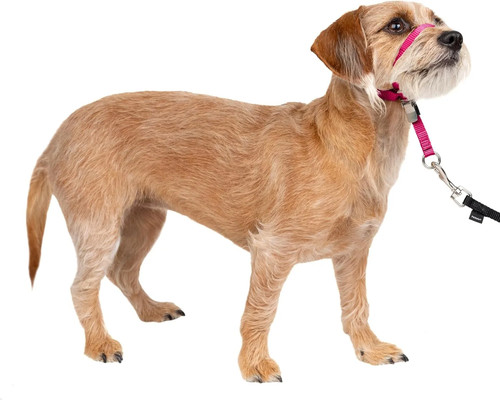 Petsafe gentle leader pull - petsafe,