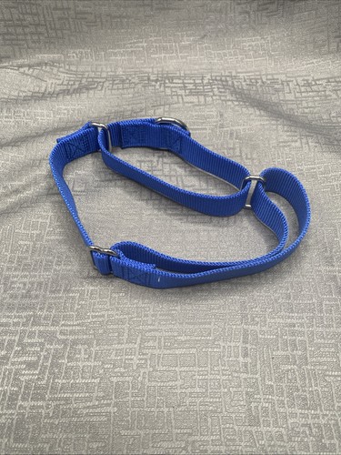 Pet safe adjustable - pet, safe,