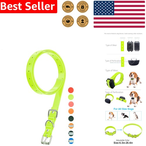 Electronic training collar - training,