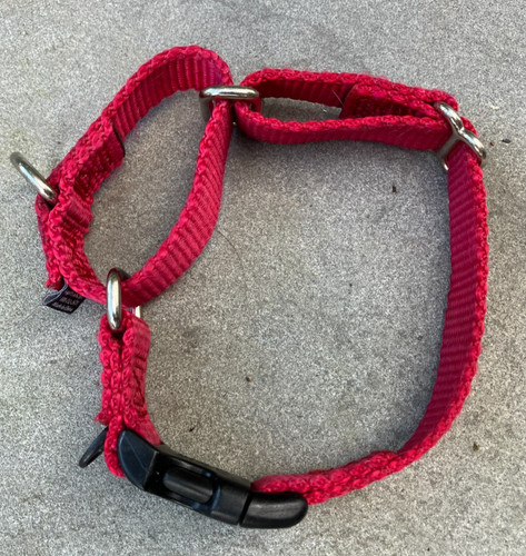 Pet safe adjustable - pet,