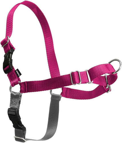 Easy walk pull - dog, harness