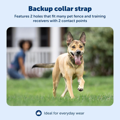 Replacement collar strap with - replacement,
