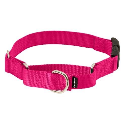 Martingale dog collar with - martingale,