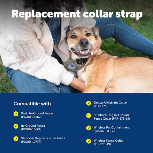 Replacement collar strap - collar,